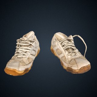 3d model of Athletic Shoes Found in Sonoran Desert