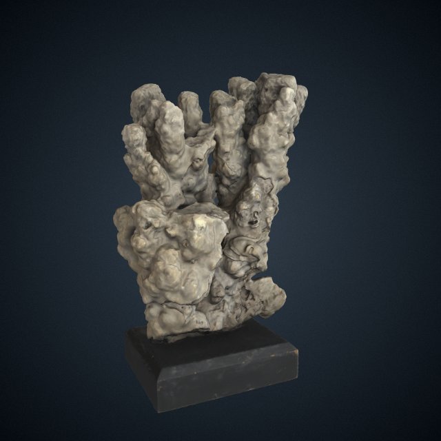 Porites monticulosa
