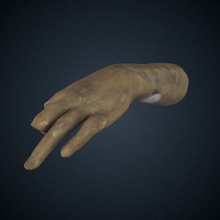 3d model of Life Cast of Left Forearm and Hand (fragment, study for "Greek Slave")