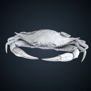 3d model of Blue Crab