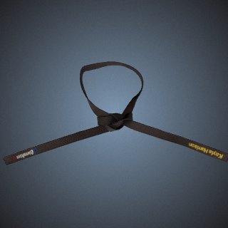 3d model of Black belt worn by Kayla Harrison when she won a gold medal in judo during the 2012 London Olympic Games