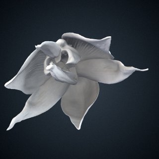 3d model of Embreea herrenhusana